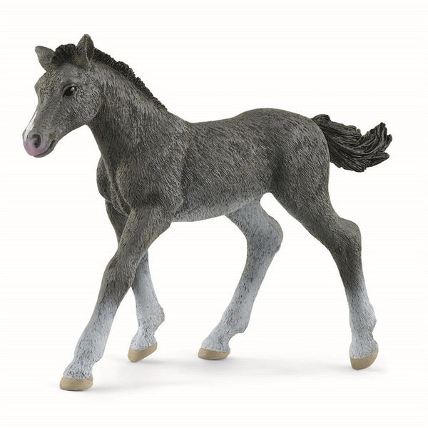 Schleich Trakehner-Fohlen