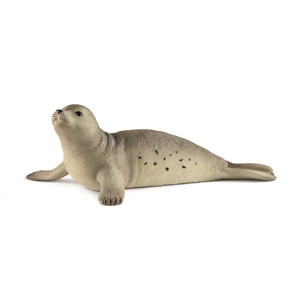 Schleich Tiere, Robbe