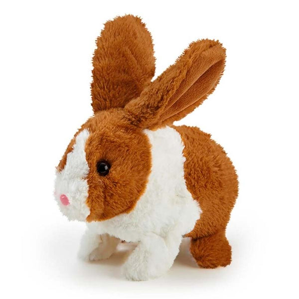 Happy Hoppy Kaninstall