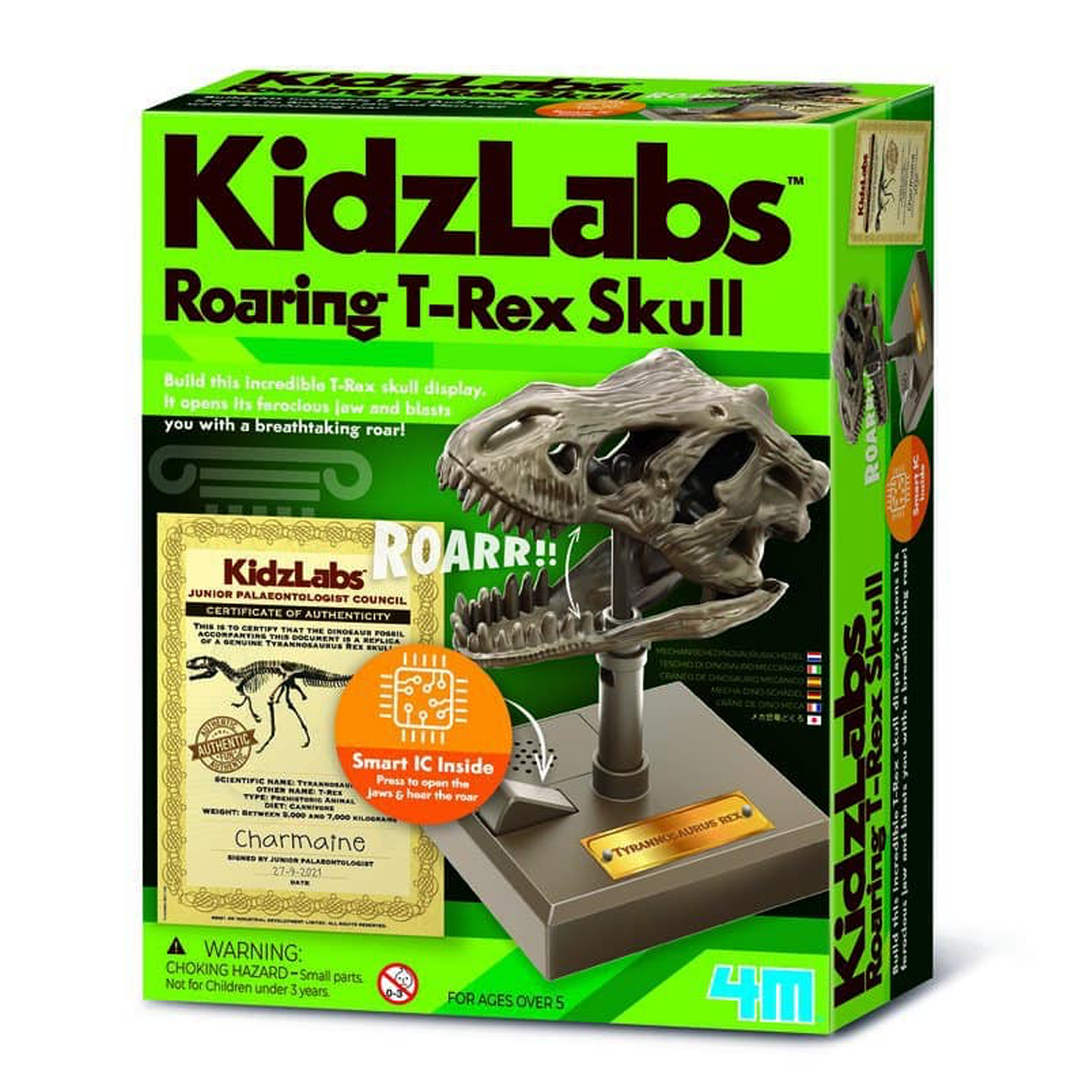 01_4M-03399_4M-KidzLabs-Roaring-T-Rex-skull.png