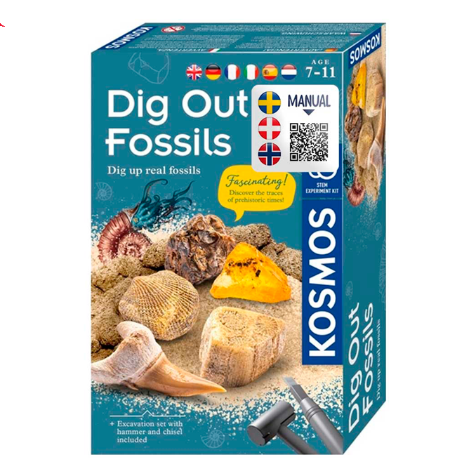 01_Dig Out Fossils - Science kit.png