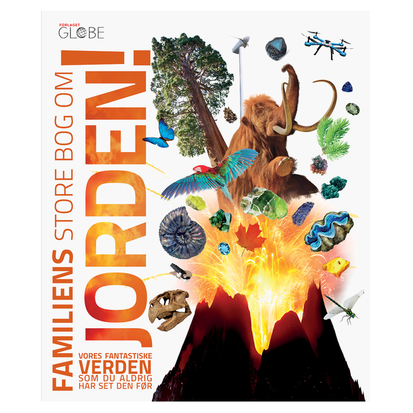 Das große Familienbuch über die Erde