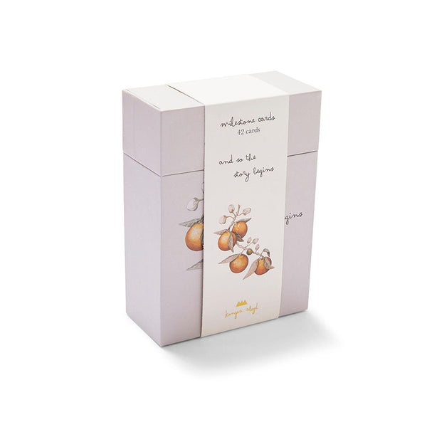 Konges Sløjd Meilensteinkarten