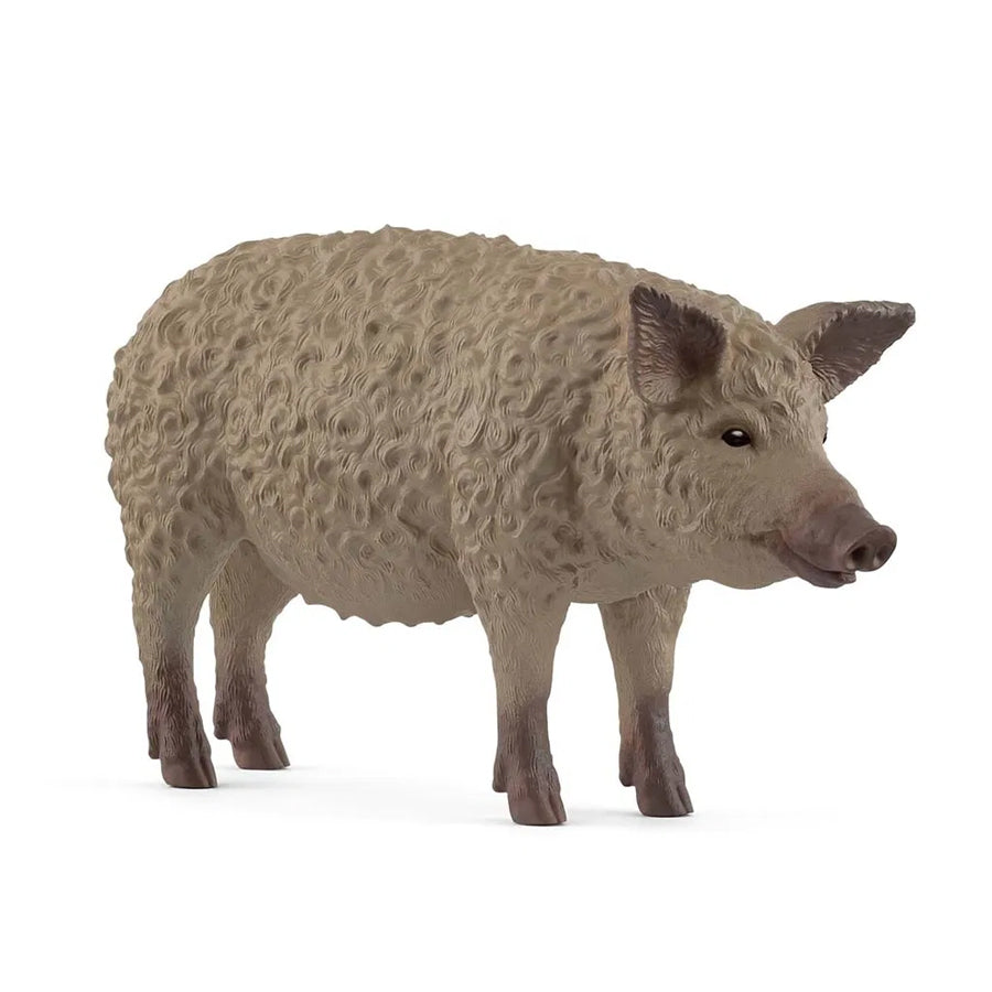 01_Schleich Mangalitza gris.jpg