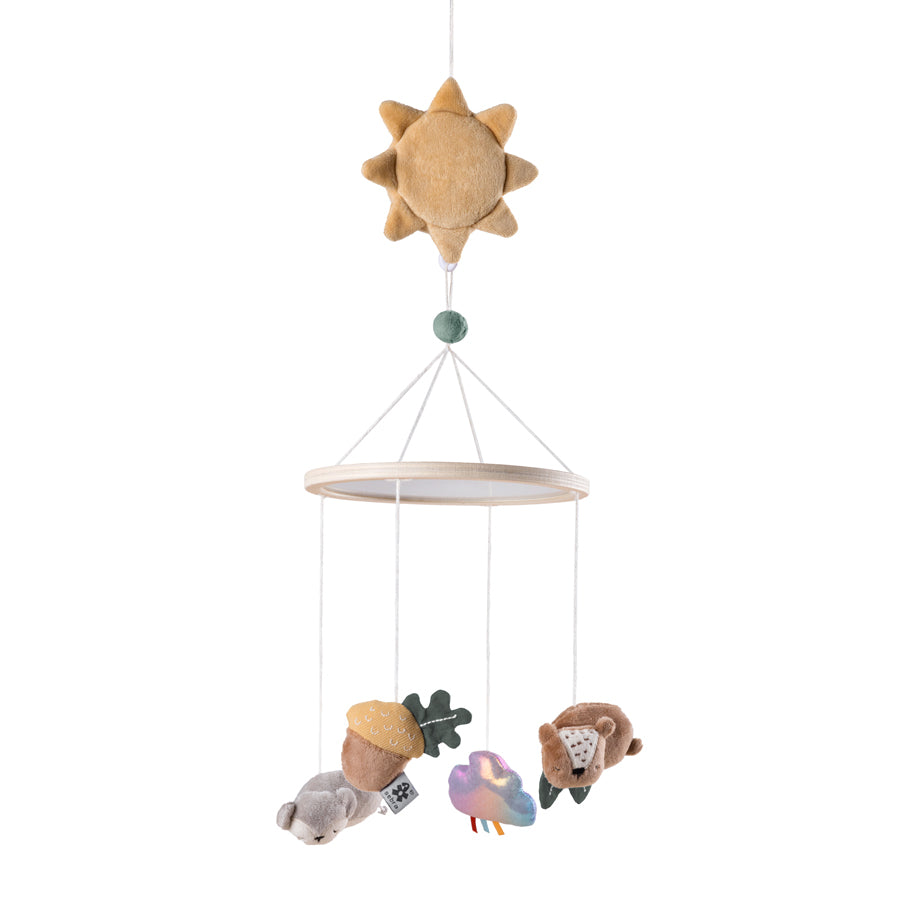 01_Sebra Musik- og Spejluro, Woodland.jpg