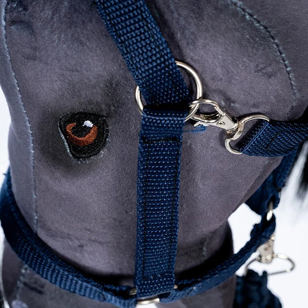 by Astrup Nasenriemen und Ziehtau, blau