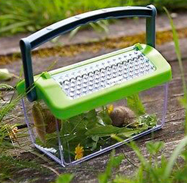 HABA Große Insektenbox mit Griff