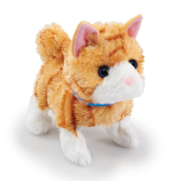 Happy Pets Hübsches kleines Kätzchen, gestreift