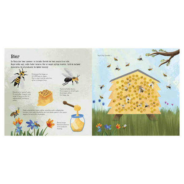 Ich sehe ... kleine Insekten