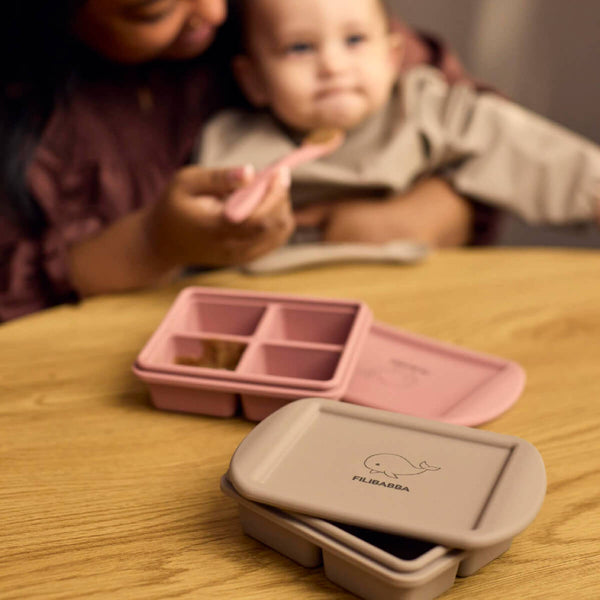 Filibabba 2-Pack Gefrierbehälter für Babynahrung - Rose Mix
