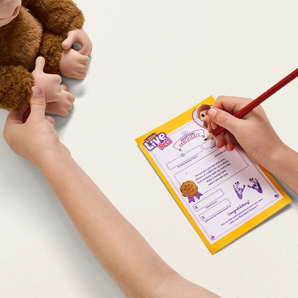 Little Live Pets – Mein Babyäffchen Mango