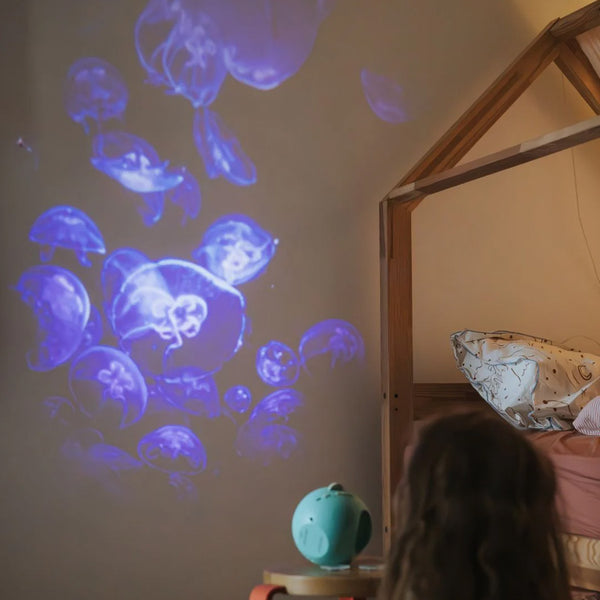 Kidystar Projektor, Ocean