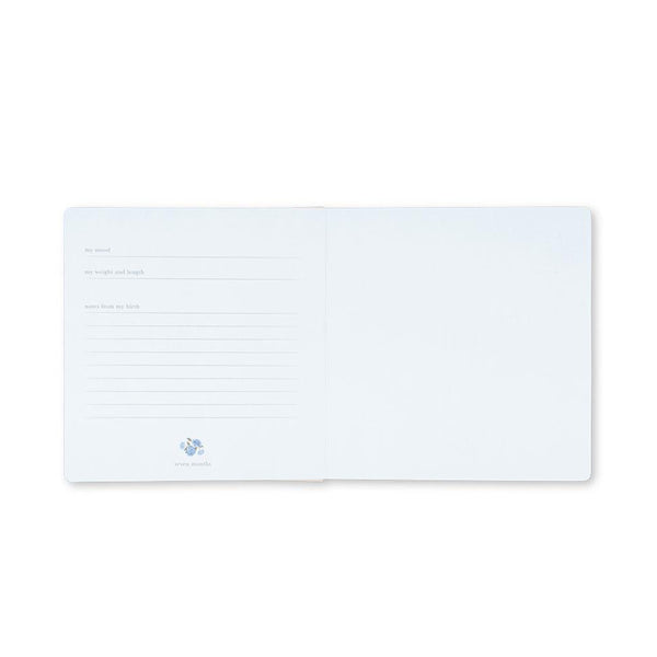 Konges Sløjd Kinderbuch, Teddy