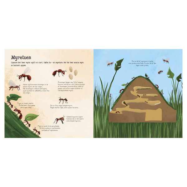 Ich sehe ... kleine Insekten